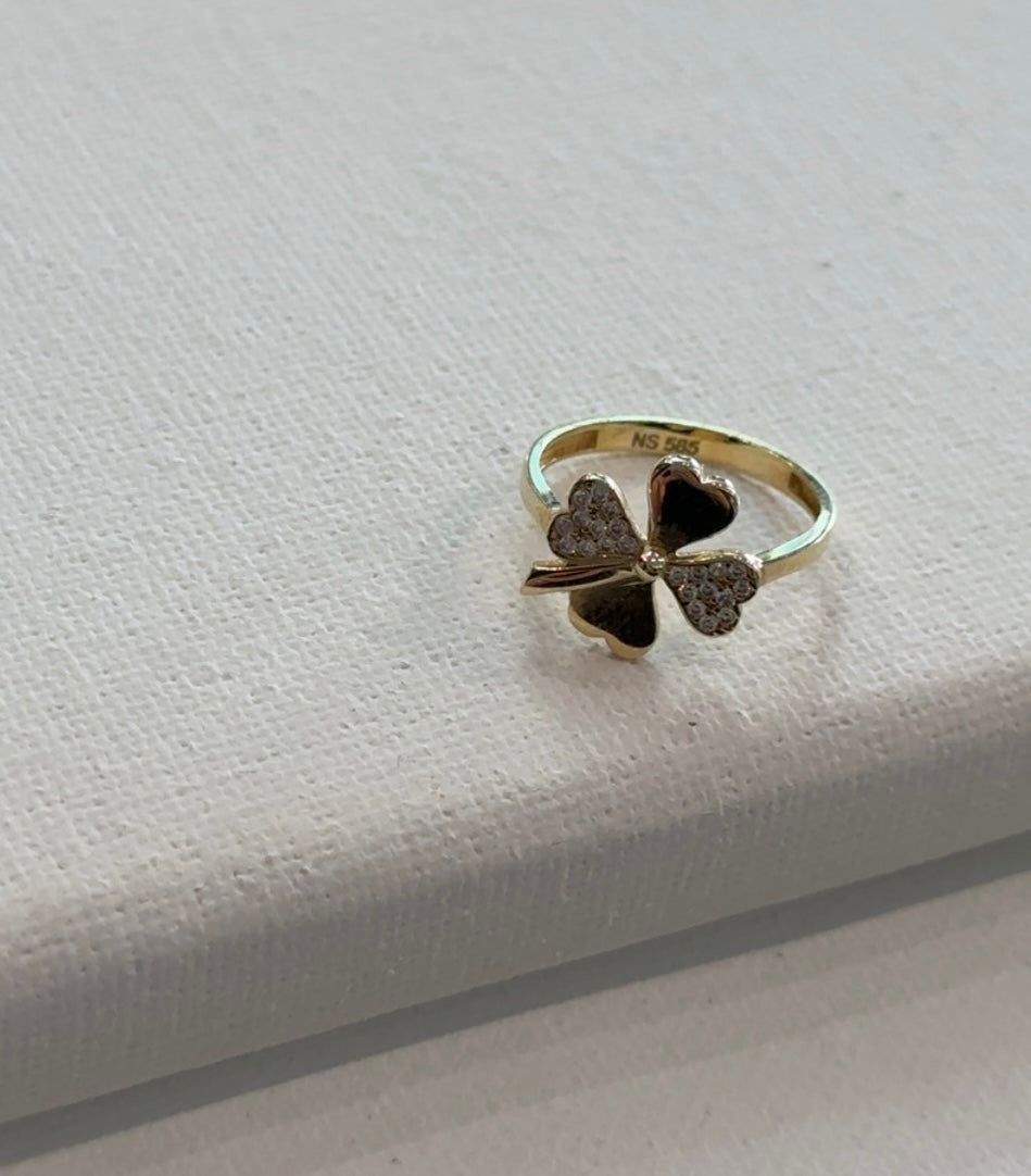 Goldring-Klee Zirkonia