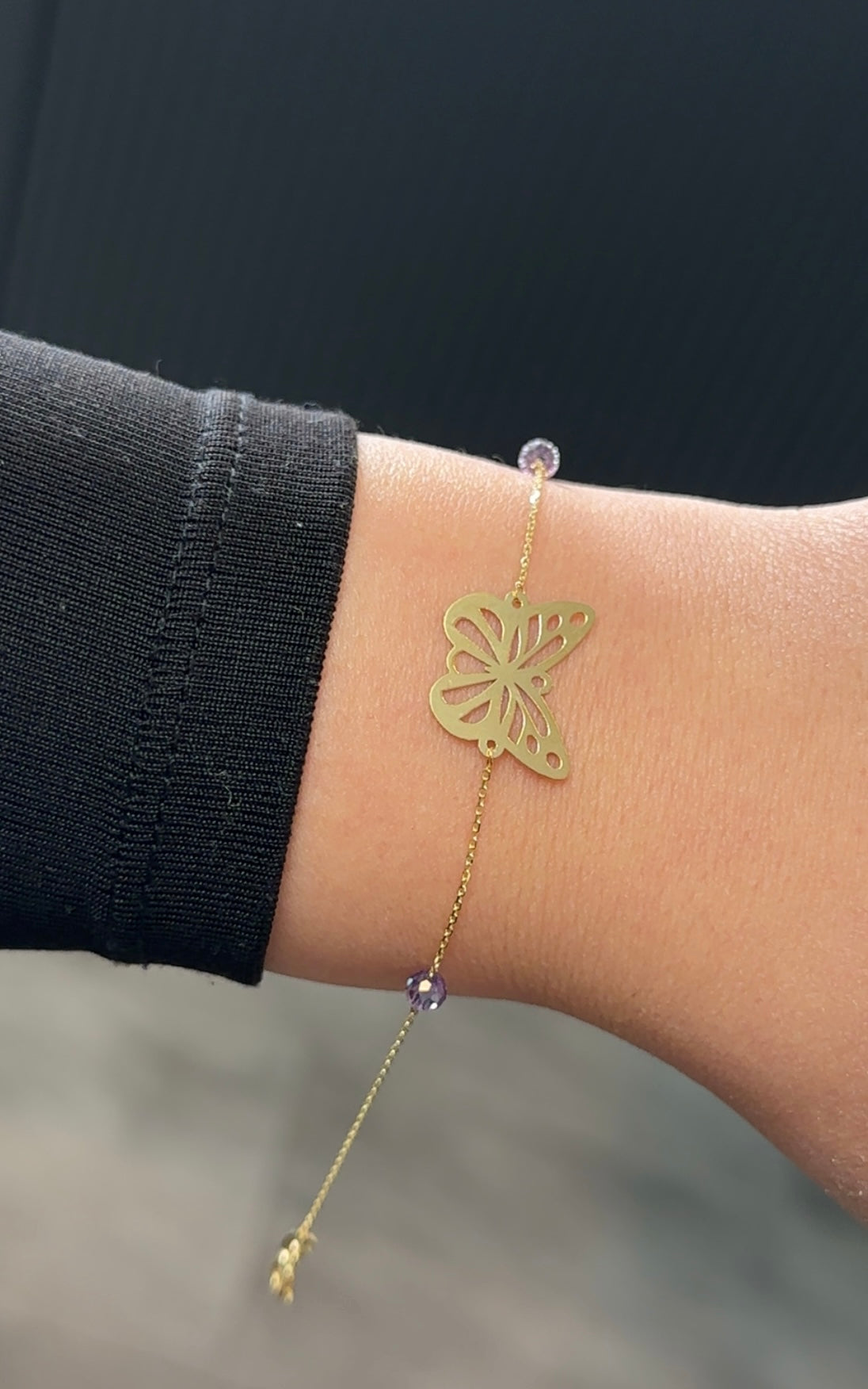 Goldarmband-Schmetterling🦋