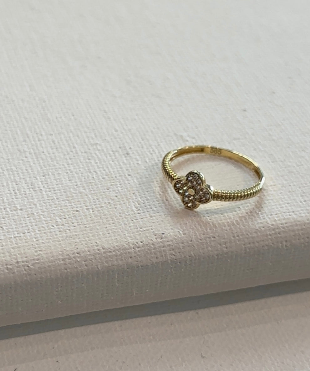 Goldring-Mini🍀